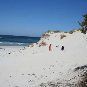 https://dona-sisa.in-sardinia.net